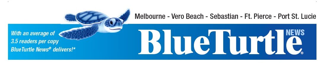 BlueTurtleNews