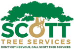 Scott-tree-services